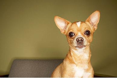 《灵神乐~奋斗记~》已於STEAM平台正式上市！